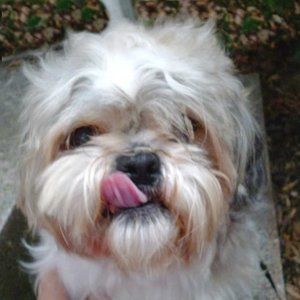 Meet your Posher, June